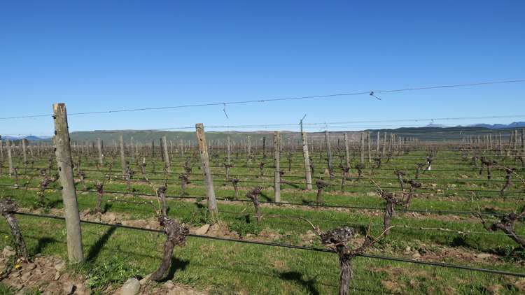 708 Waihopai Valley Road Waihopai Valley_10