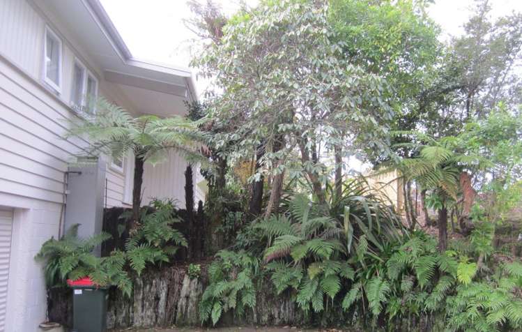 132 Tarawera Road Lynmore_12