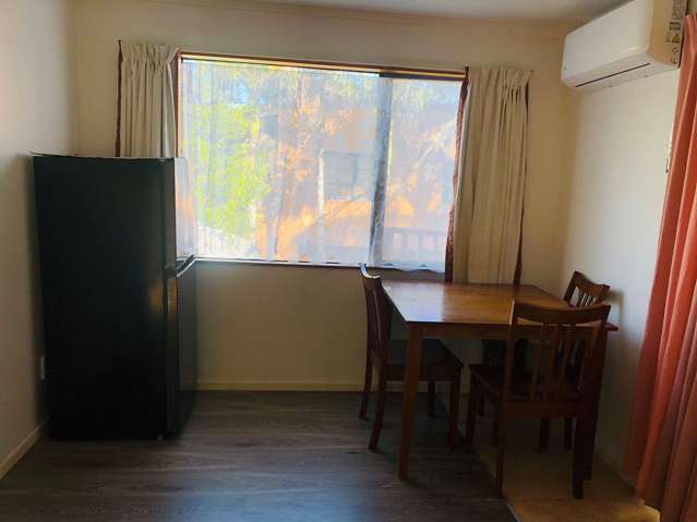 7 George Laurenson Lane Mount Roskill_4