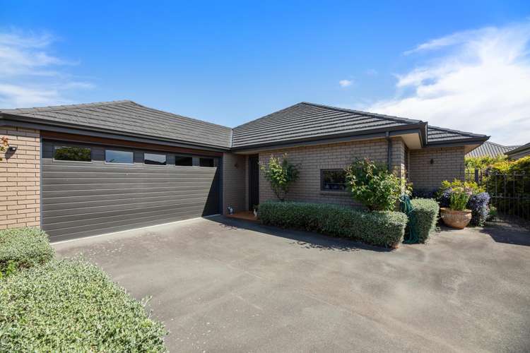 28B Francis Street Blenheim_14