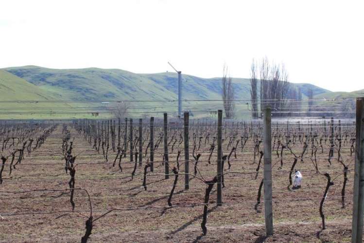 750 Ohiti Road Crownthorpe_18