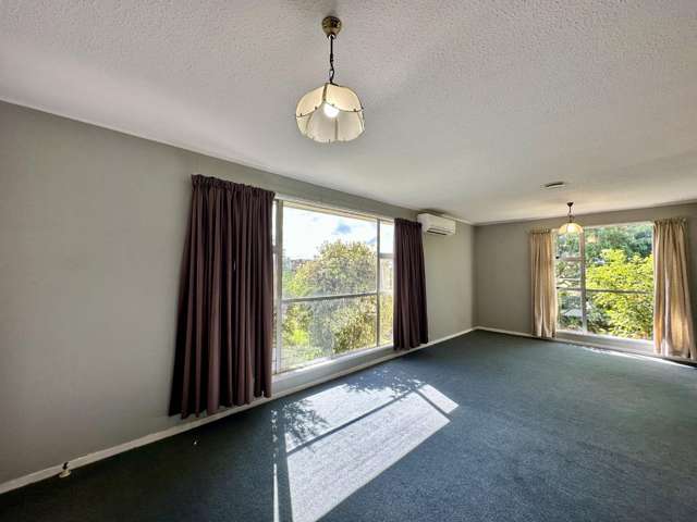 185B Walnut Avenue Ashburton_4