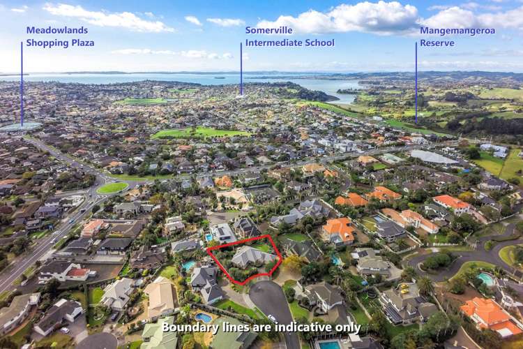 12 San Jose Rise Shamrock Park_11