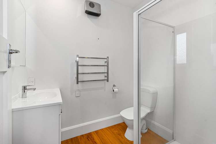 22 Winton Street Saint Albans_11