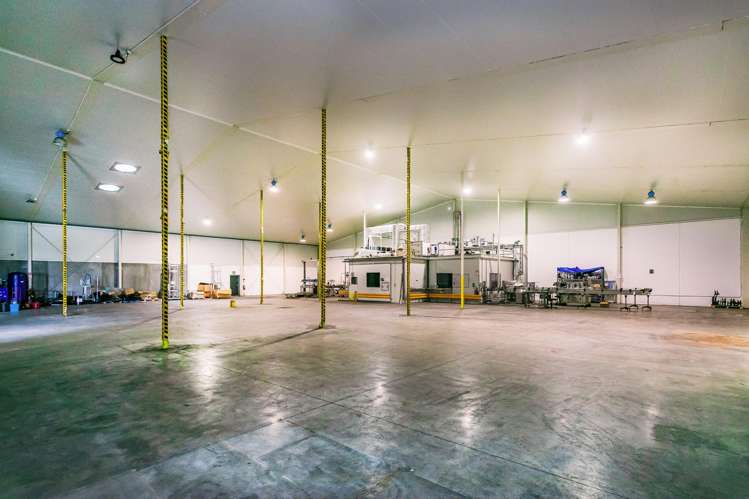 34/38 Domain Road Putaruru_11