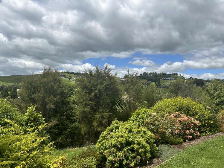 50 Utopia Park Heights 1185_18