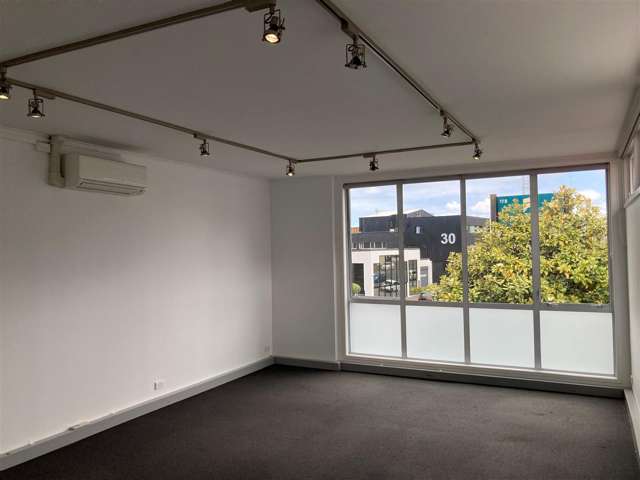 17D Pollen Street Grey Lynn_1