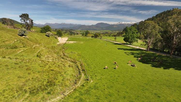 200 Upper Stanley Brook Stanley Brook_16