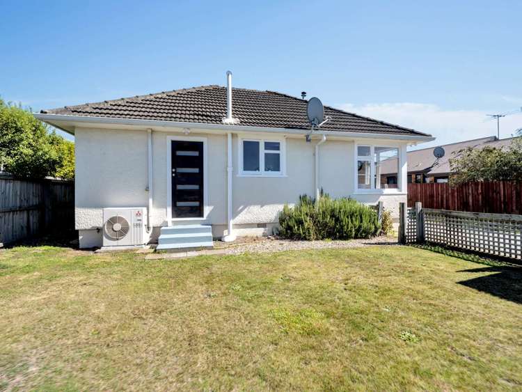 64 Joy Street Shirley_21