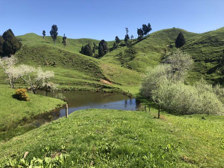 1026 Limeworks Loop Road Karamu_17