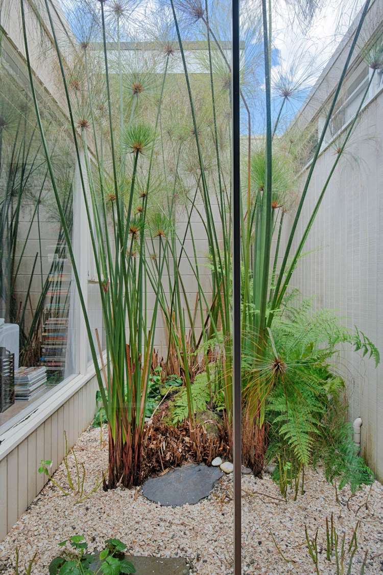 7/25 Saltburn Road Milford_4