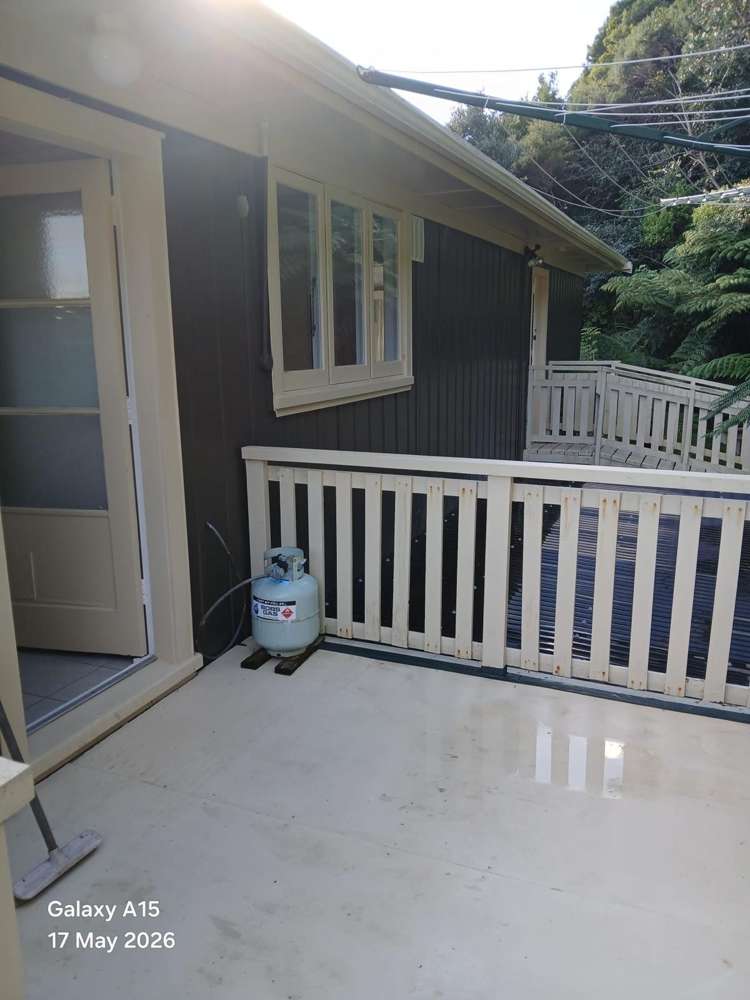  358 Thames Coast Road Thornton Bay_4