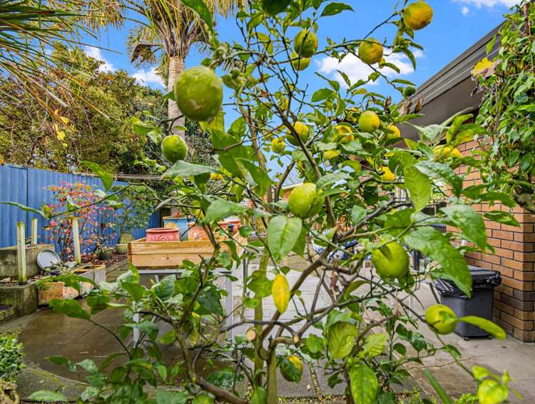 2/75 Moorhouse Street Morrinsville_26