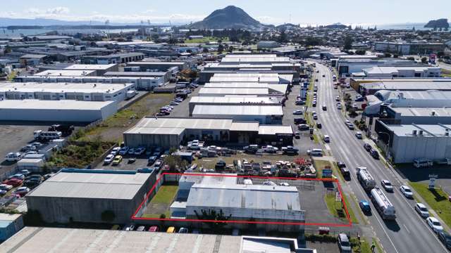 50 Newton Street Mount Maunganui_4