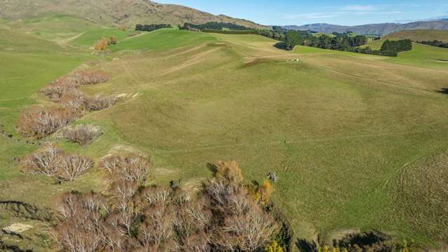 557 Pyramid Valley Road Pyramid Valley_2