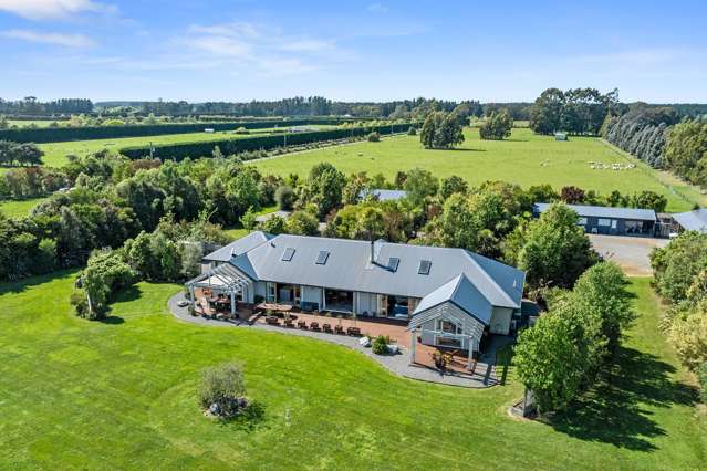 192 Terrace Road Leithfield_1