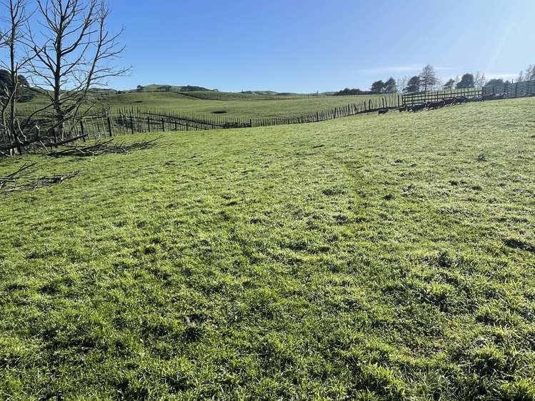 80b Mangaotaki Road Piopio_34