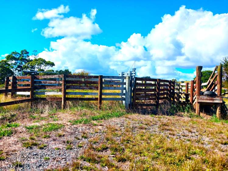 7565 State Highway 1 Kaitaia_10