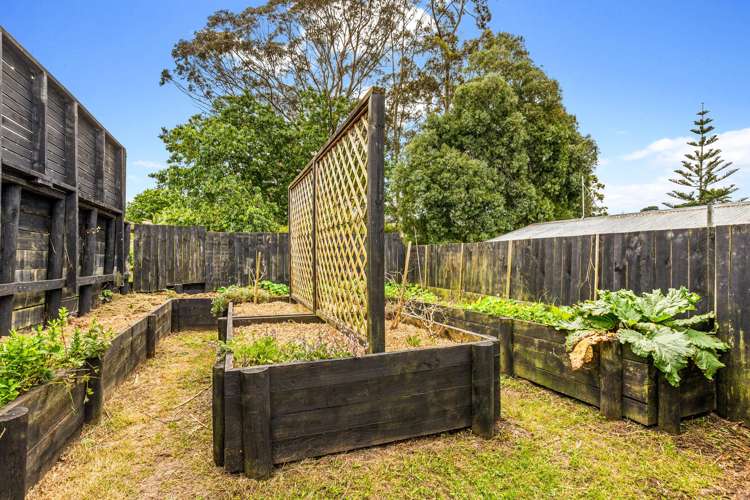 43 McClintock Road Massey_6