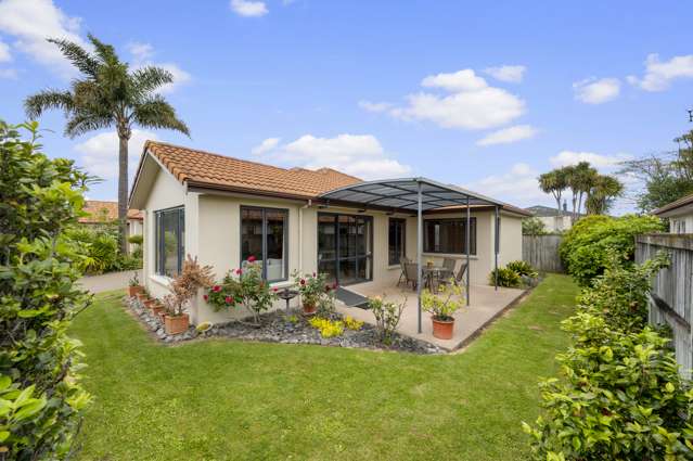 25a Pembroke Street Taradale_1