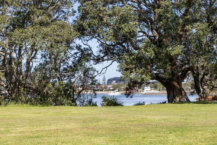 229 Moana Anu Anu Avenue Whangamata_6