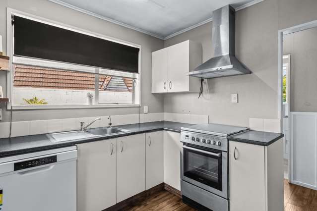 57 Thomson Street Tinwald_3