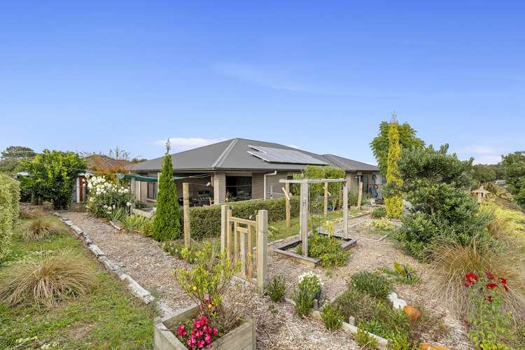 45 Blunt Road Te Kauwhata_18