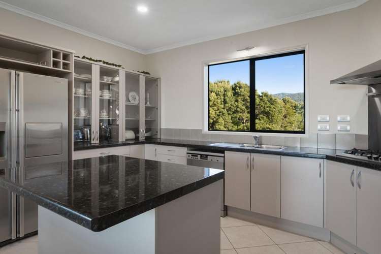 329B Thompsons Track Katikati_6