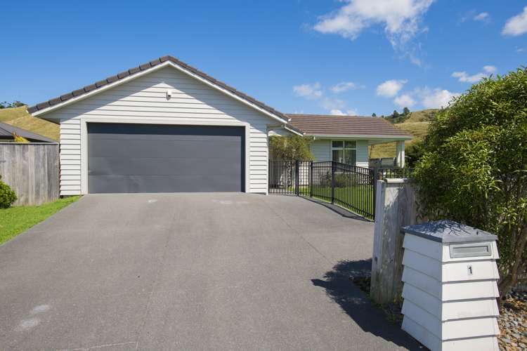 1 Hamilton Drive Wainui_0