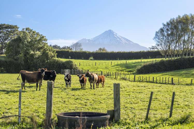 241 Warwick Road Stratford_11