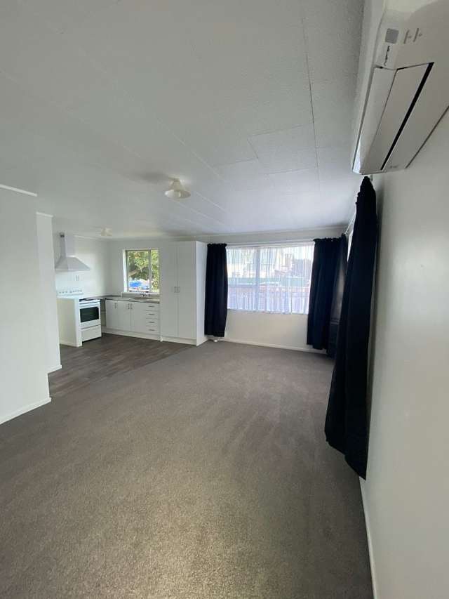 113E Featherston Street Palmerston North_2