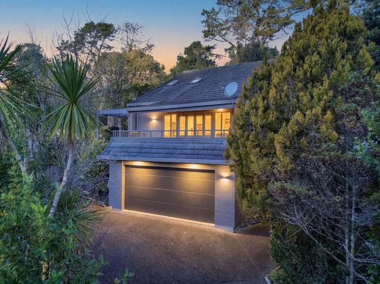 6 Tree Fern Trail_4