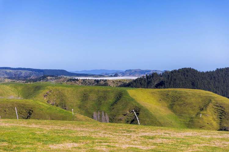 116C Mimiha Ridge Road Matata_19