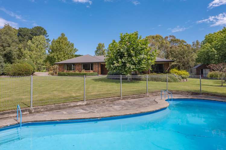 299 Domett Road Domett_23