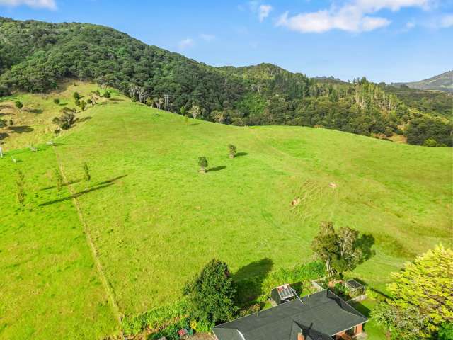 73 Turner Street Kaeo_3