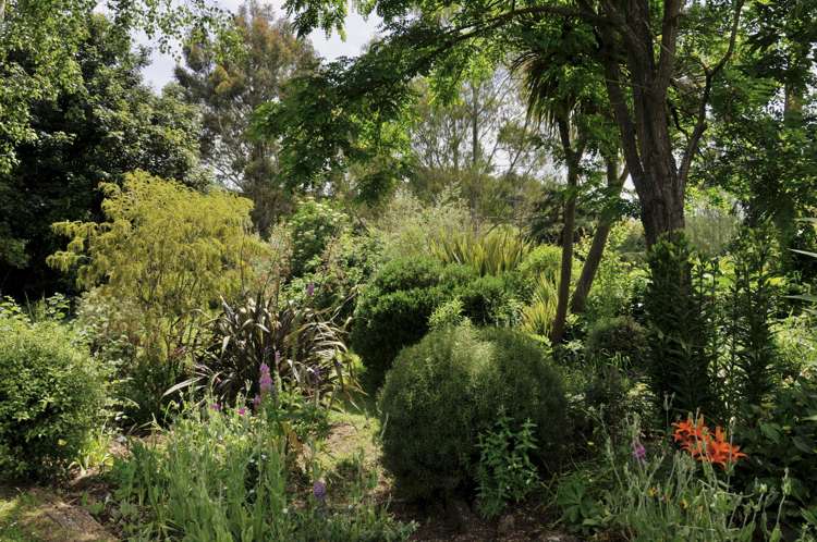 669 Whitstone-Five Forks Road Five Forks and Surrounds_34