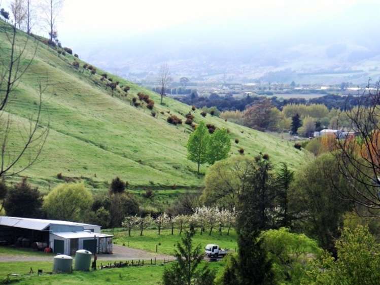 130 Teapot Valley Road Brightwater_14