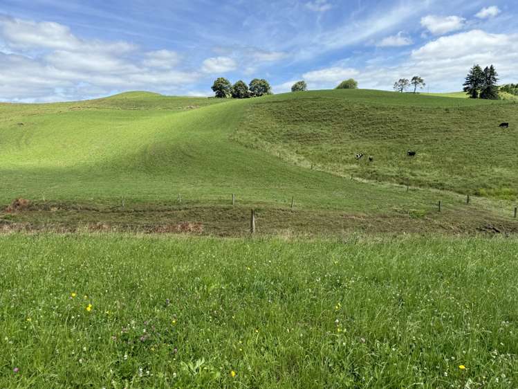 829 Honikiwi Road Otorohanga_32