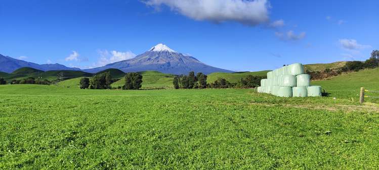 Parihaka Road Pungarehu_7