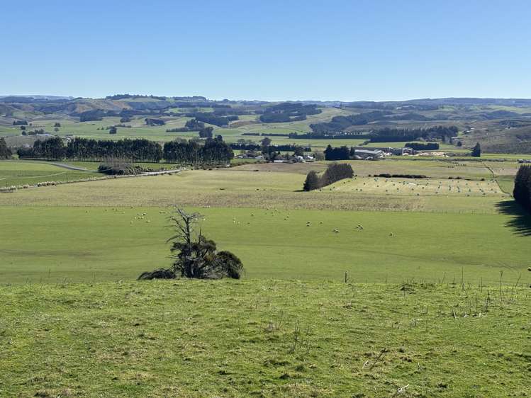 Waihola Highway Waihola_11