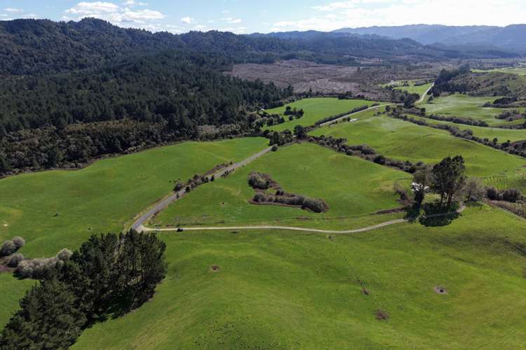 Lot 3/283 Minginui Road Galatea_13