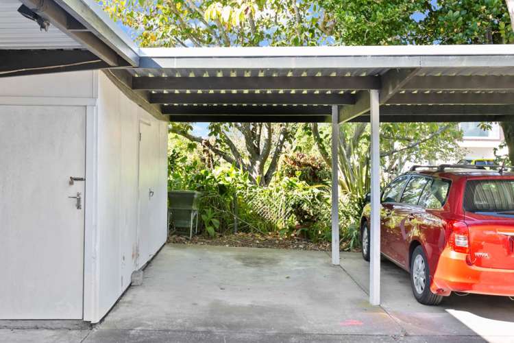 4/8 Springleigh Avenue Mount Albert_13