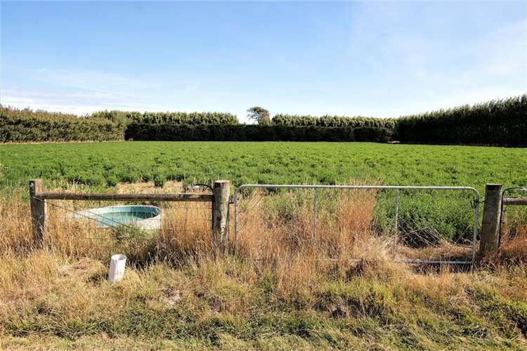 36 Andrews Road Lincoln_34