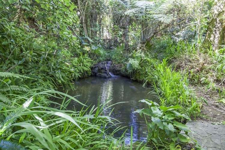 315 Opoutere Road Opoutere_13