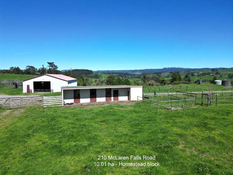 210 McLaren Falls Road_5