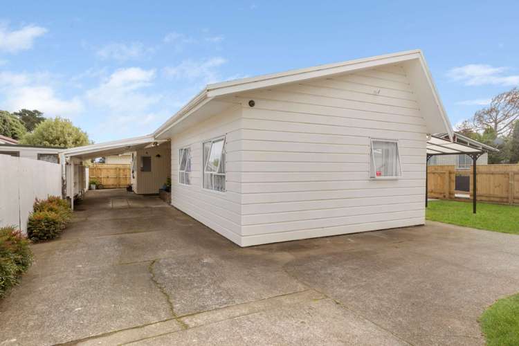 19 Totara Street Tawhero_2