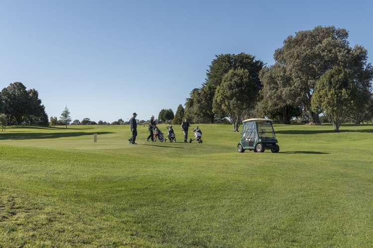 16 Lodge Avenue Mt Maunganui_22
