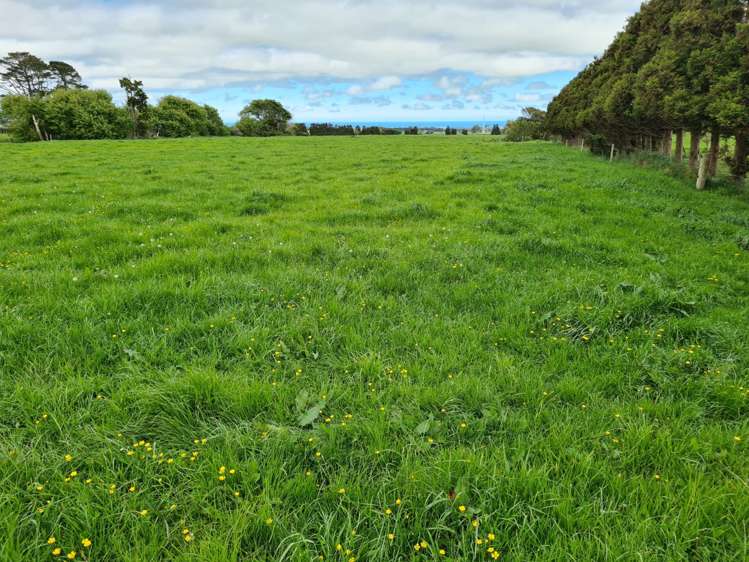 2344 Opunake Road Awatuna_22