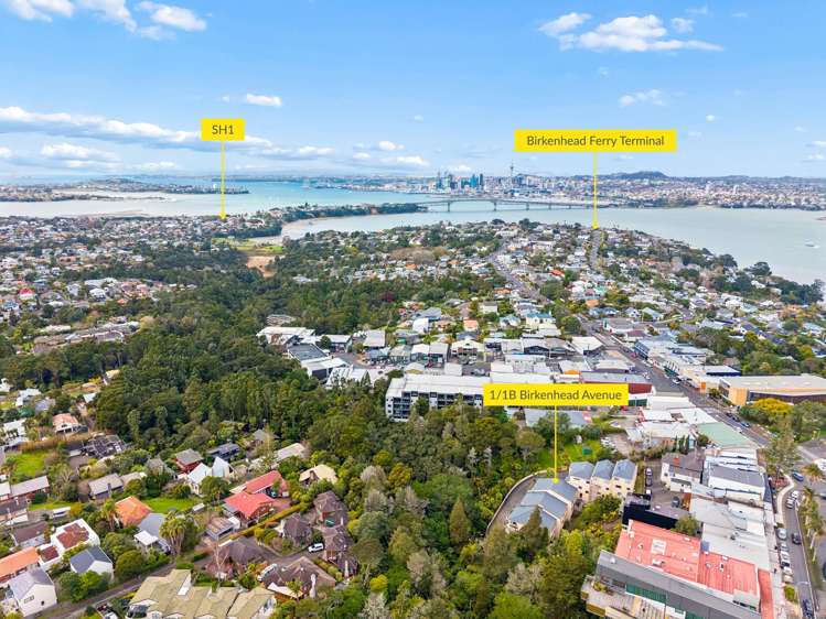 1/1B Birkenhead Avenue Birkenhead_12