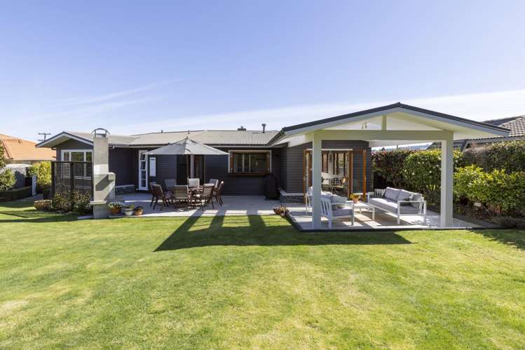 26 Kiwi Street Bird Area_25